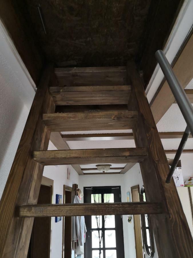 Ferienwohnung Hartmann Frankenau المظهر الخارجي الصورة